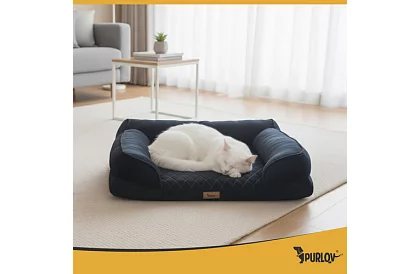 Ortopédiai fekhely 65 × 55 × 18 cm – S