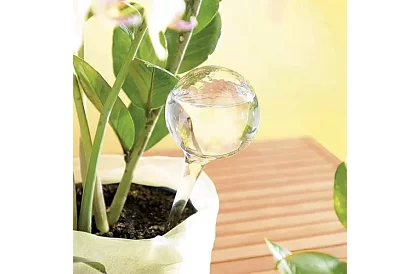 Öntözőgömbök növényekhez – 8 darab