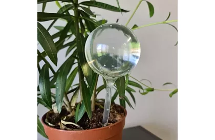 Öntözőgömbök növényekhez – 8 darab