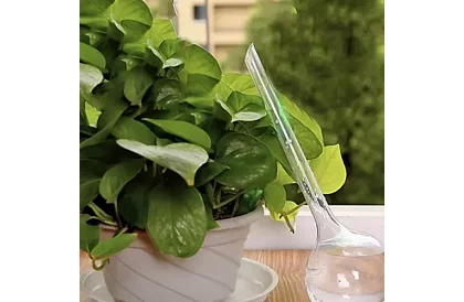 Öntözőgömbök növényekhez – 8 darab