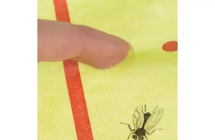 Rovarcsapda, 25 × 1000 cm – légyfogó