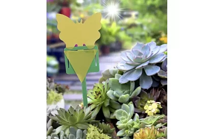 Lepkék a rovarok Repest – 12 darab