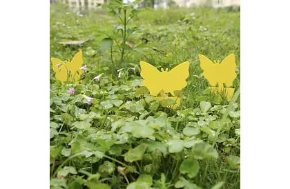 Lepkék a rovarok Repest – 12 darab