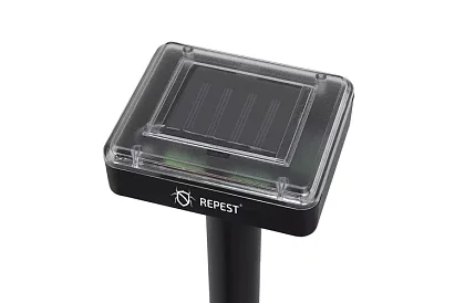 Napfény rágó – 2 darab a készletben