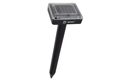 Napfény rágó – 2 darab a készletben