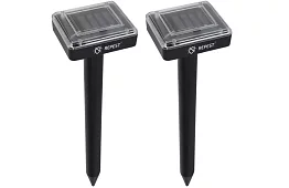 Napfény rágó – 2 darab a készletben