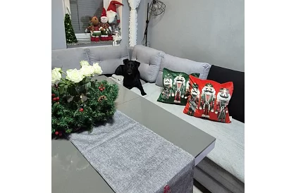 Dekoratív párnahuzat 40x40 cm – zöld Diótörő