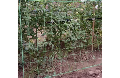 Hálózati támogatás növények számára 2x20 m