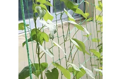 Hálózati támogatás növények számára 2x10 m