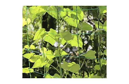 Hálózati támogatás növények számára 2x10 m