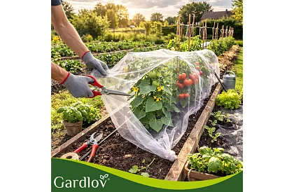 Kerti védőháló 3 × 6 m