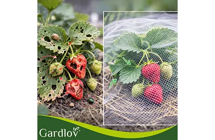 Kerti védőháló 3 × 6 m