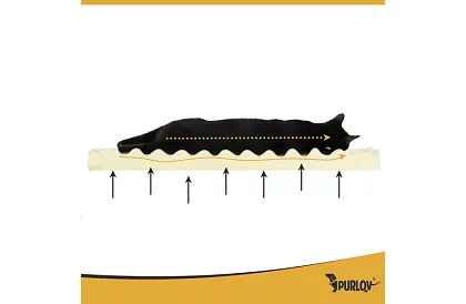 Ortopédiai fekhely 80 × 65 × 19 cm – M