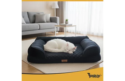 Ortopédiai fekhely 80 × 65 × 19 cm – M