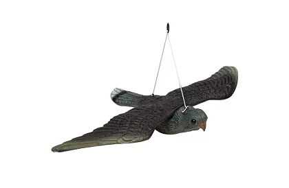 Függő riadó – valósághű sólyom