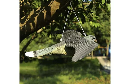 Függő riadó – valósághű sólyom