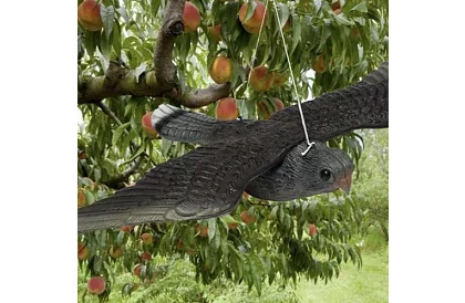 Függő riadó – valósághű sólyom