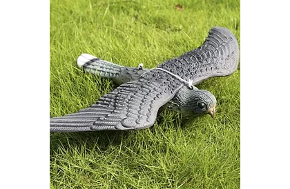 Függő riadó – valósághű sólyom