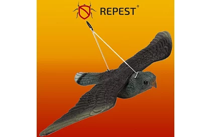 Függő riadó – valósághű sólyom