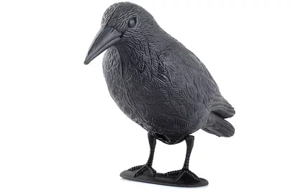 Függő riadó – holló