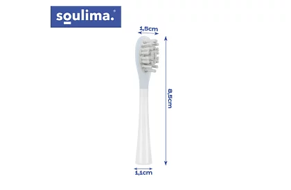 2 cserefej a X800 elektromos fogkeféhez – fehér
