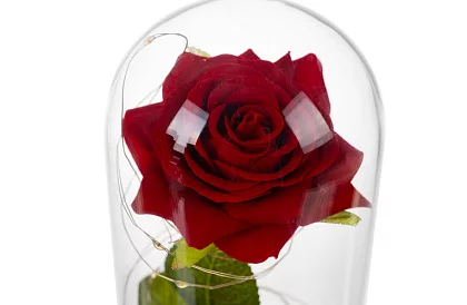 Örök rózsa üvegben LED világítással