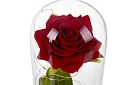 Örök rózsa üvegben LED világítással
