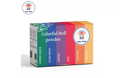 Holi porfestékek szett 6×100 g