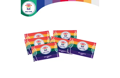 Holi porfestékek szett 6×100 g