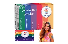 Holi porfestékek szett 6×100 g