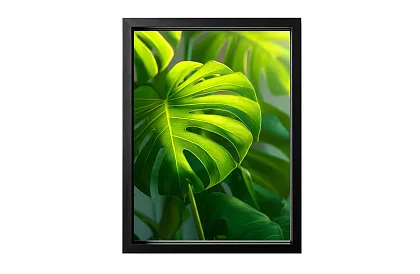 Tropikus levél - kép - Monstera modern természetes stílusban 45