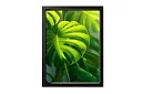 Tropikus levél - kép - Monstera modern természetes stílusban 45