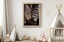 A természet közelsége - kép - Zebra kölyökkel részlet 55