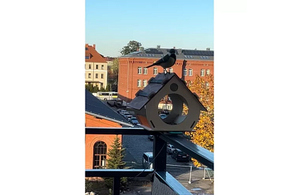 Fa DIY madárcső a madaraknak, összeszerelésre és festésre