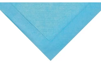 Abszorpciós higiéniai betét - 50 db-os készlet.