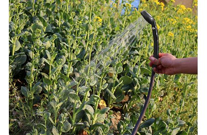 Hordozható utazási - kemping zuhany