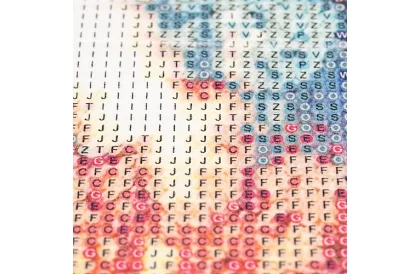 Gyémántfestés 5D – Bagoly