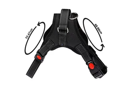 Nyomásmentes kutyahám - L-es méret