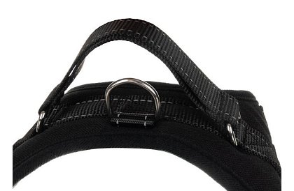 Nyomásmentes kutyahám - L-es méret