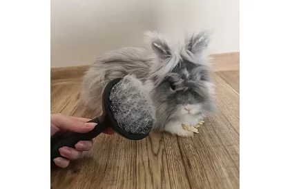 Öntisztító szőrvágó kefe