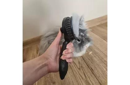 Öntisztító szőrvágó kefe