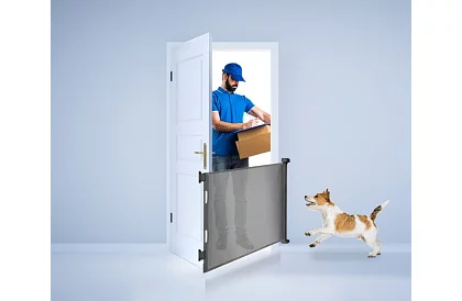 Kihúzható biztonsági redőny ajtóra – szürke - 157 cm