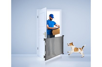 Kihúzható biztonsági redőny ajtóra – szürke - 157 cm