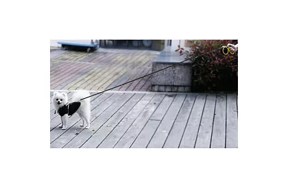 Automatikus Flexi póráz 15 kg-ig – 5 m