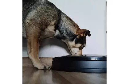 Automatikus takarmányozó időzítővel