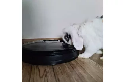 Automatikus takarmányozó időzítővel