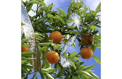 Holografikus szalag a madarak elriasztására - 80 méter