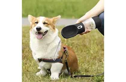 Utazási vízpalack kutyáknak, jutalom tálkával