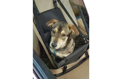 Háziállat szállító táska az autó ülésére