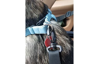 Háziállat szállító táska az autó ülésére